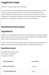 Berberine 500 mg 90 Tablets - Nutra Best Europe