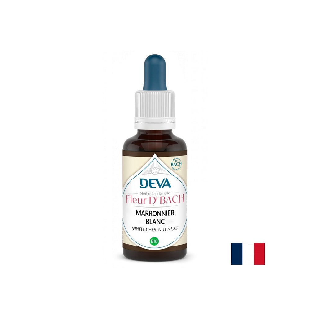 Memory and concentration - Horse chestnut, Bach drops No. 35, 15 ml - Nutra Best Europe