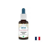 Memory and concentration - Horse chestnut, Bach drops No. 35, 15 ml - Nutra Best Europe