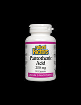 Pantothenic Acid 250 mg - 90 capsules - Nutra Best Europe