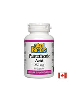 Pantothenic Acid 250 mg - 90 capsules - Nutra Best Europe