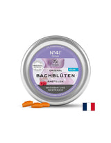Dr. Bach lozenges - N°41 Focus, 50 g (~ 40 pieces) Lemon Pharma - Nutra Best Europe