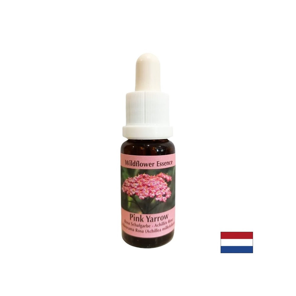Protect emotions and general health - Essence Pink Yarrow No. 35, drops 15 ml - Nutra Best Europe