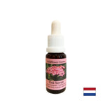 Protect emotions and general health - Essence Pink Yarrow No. 35, drops 15 ml - Nutra Best Europe