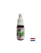 In times of despair and impasse - Sweet Chestnut Essence, drops 15 ml - Nutra Best Europe