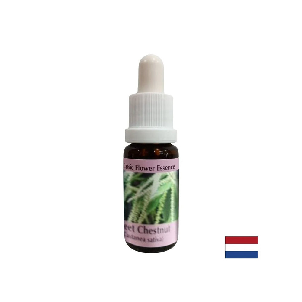 In times of despair and impasse - Sweet Chestnut Essence, drops 15 ml - Nutra Best Europe