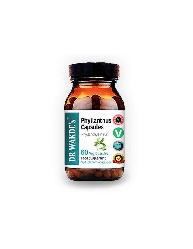 Phyllanthus - for diseases of the liver and spleen, gout, 60 capsules - Nutra Best Europe