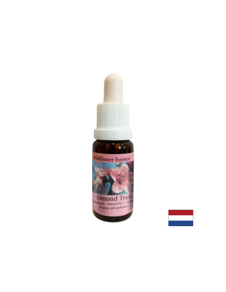 Rejuvenates the body and stimulates healthy eating - Almond Essence No. 31, drops 15 ml - Nutra Best Europe