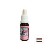 Rejuvenates the body and stimulates healthy eating - Almond Essence No. 31, drops 15 ml - Nutra Best Europe
