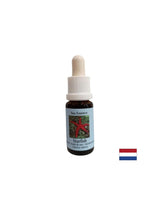 Improves communication - Starfish Essence No. 9, drops 15 ml - Nutra Best Europe