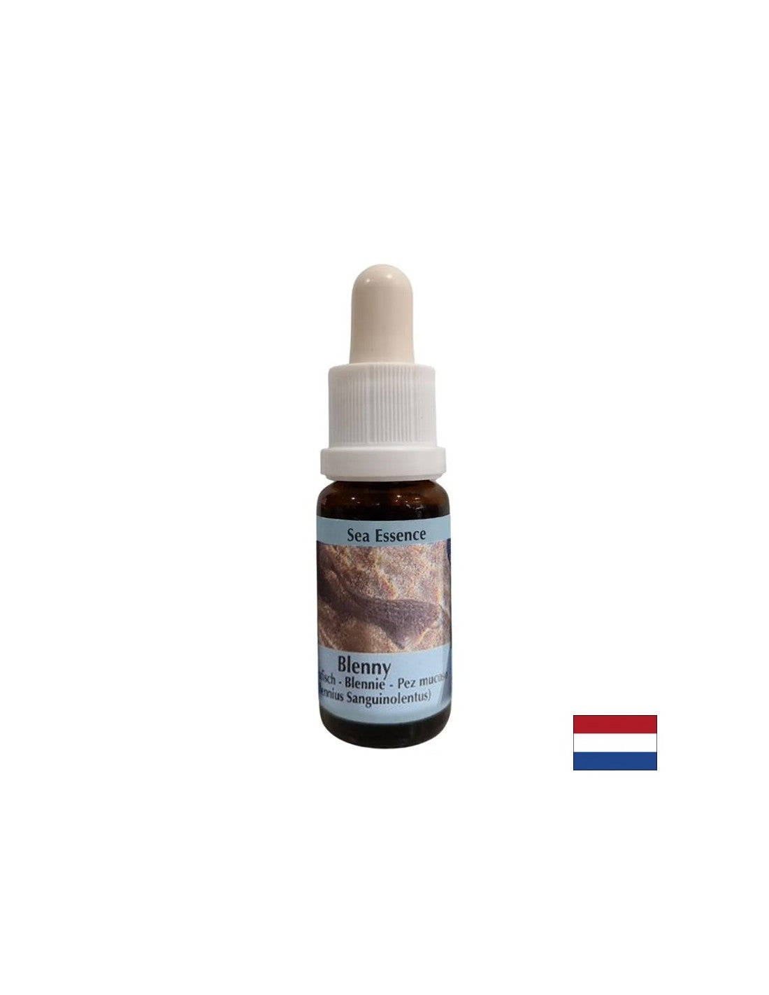 Supports intuition and sharing of emotions - Essence Sea Dog No. 5, drops 15 ml - Nutra Best Europe