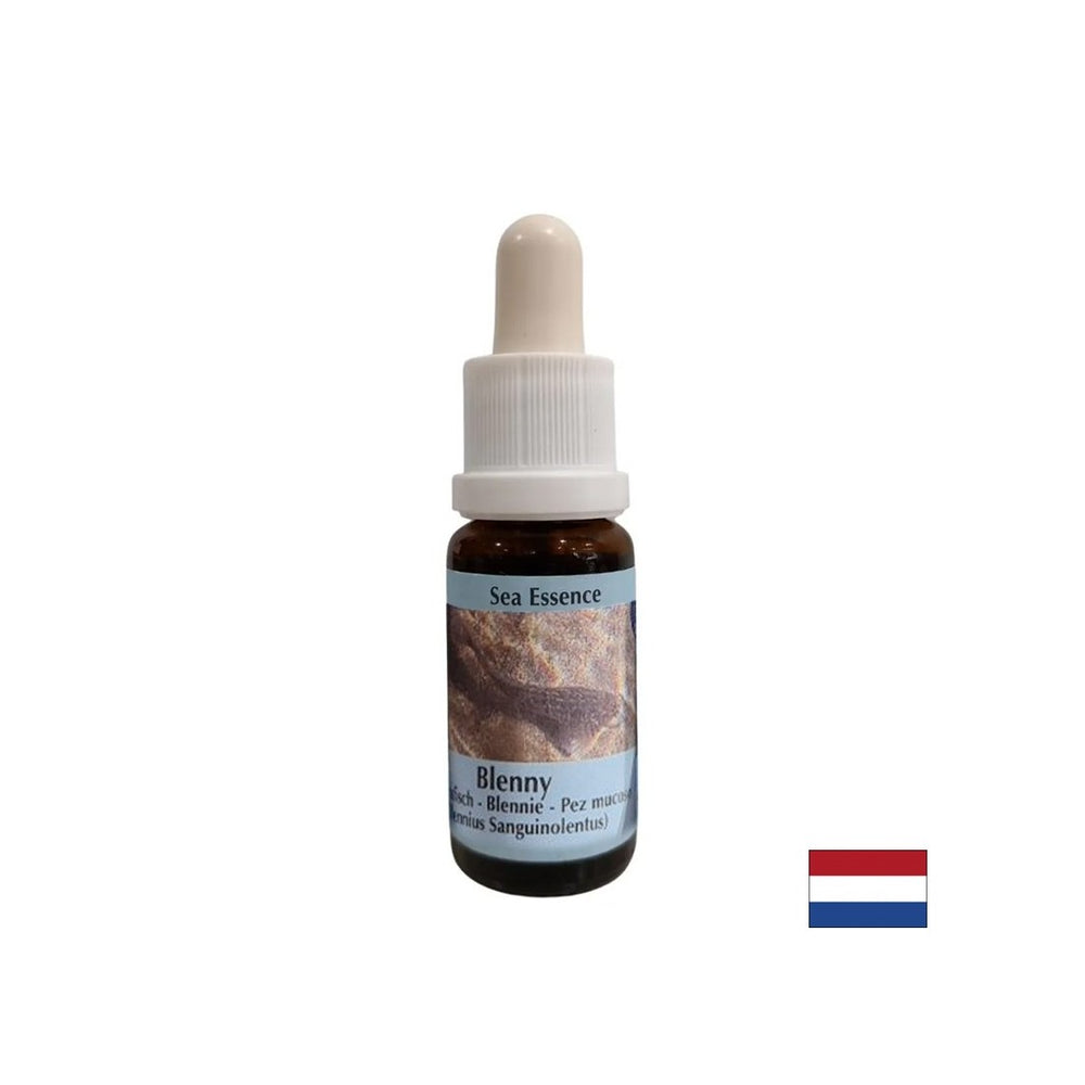 Supports intuition and sharing of emotions - Essence Sea Dog No. 5, drops 15 ml - Nutra Best Europe