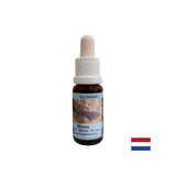 Supports intuition and sharing of emotions - Essence Sea Dog No. 5, drops 15 ml - Nutra Best Europe