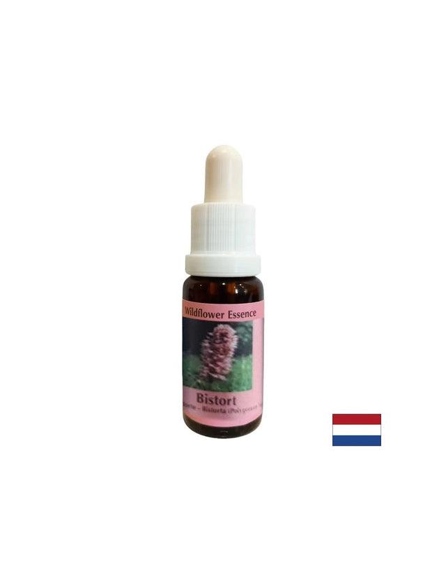 Supports concentration and focus - Bloodroot Essence No. 28, drops 15 ml - Nutra Best Europe