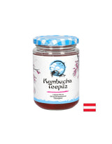 Strengthens immunity - Kombucha Tea sponge with fermented fruit tea, 200 ml - Nutra Best Europe