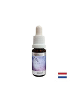 Shows the Higher Meaning - Daniel Essence (Angel Essence No. 6), drops 15 ml - Nutra Best Europe