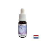 Shows the Higher Meaning - Daniel Essence (Angel Essence No. 6), drops 15 ml - Nutra Best Europe