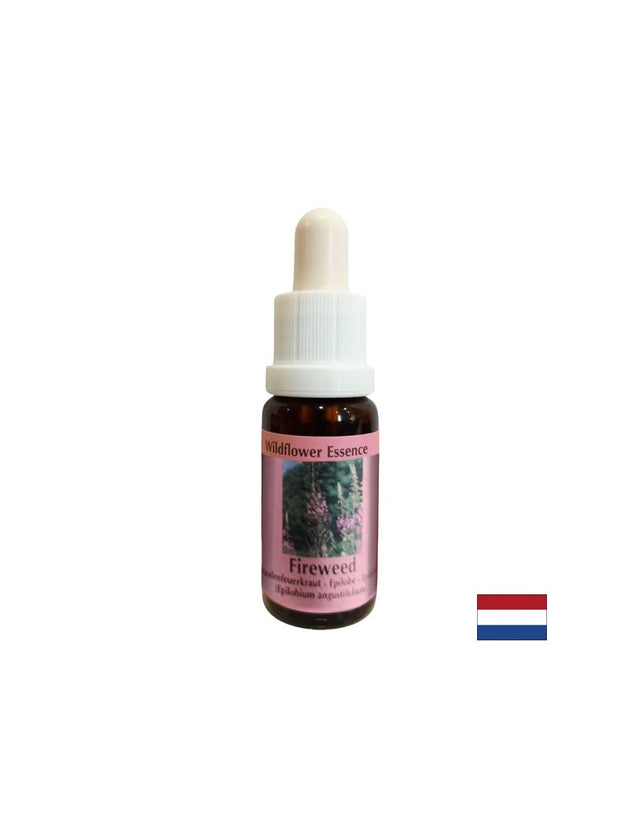Helps to dispel negative memories - Essence Narrow-leaved Willow No. 37, drops 15 ml - Nutra Best Europe