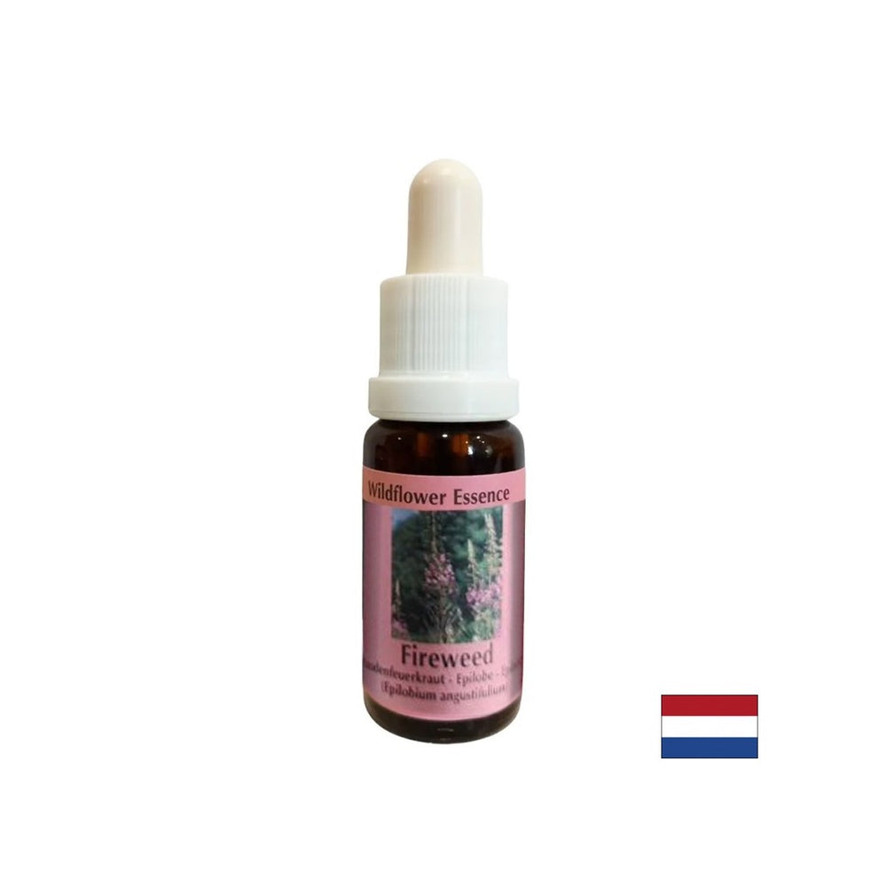 Helps to dispel negative memories - Essence Narrow-leaved Willow No. 37, drops 15 ml - Nutra Best Europe
