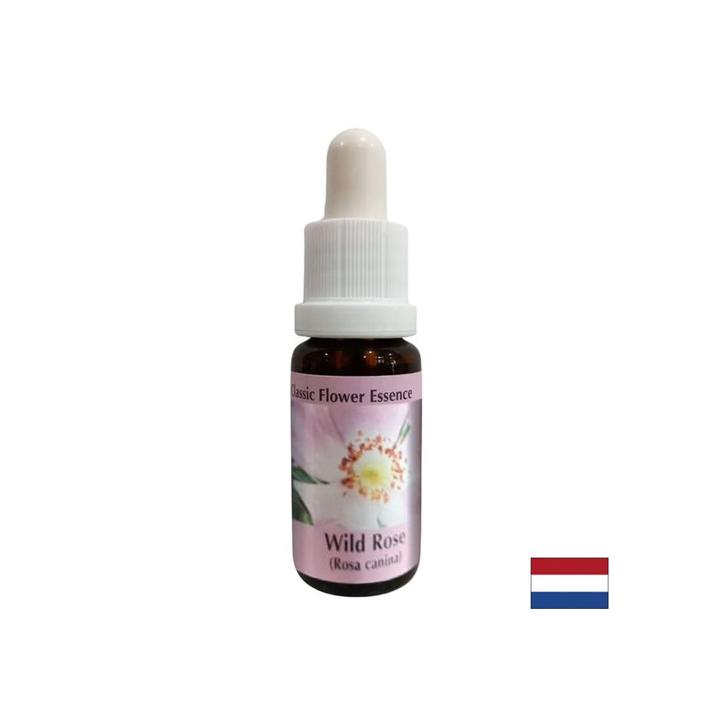 Increases activity and motivation - Rosehip Essence No. 37, drops 15 ml - Nutra Best Europe