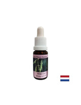 Increases confidence - Oatmeal Essence No. 36, drops 15 ml - Nutra Best Europe
