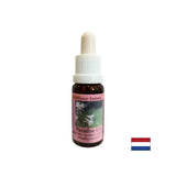 Purifies and supports nutritional changes - White Lily Essence No. 38, drops 15 ml - Nutra Best Europe