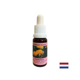 Removes tension from conflicts - Dandelion Essence No. 11, drops 15 ml - Nutra Best Europe