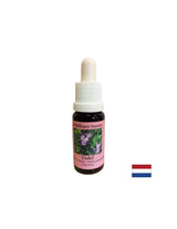 Overcomes the discomfort of rejection and loneliness - Essence Fiber Violet No. 18, drops 15 ml - Nutra Best Europe