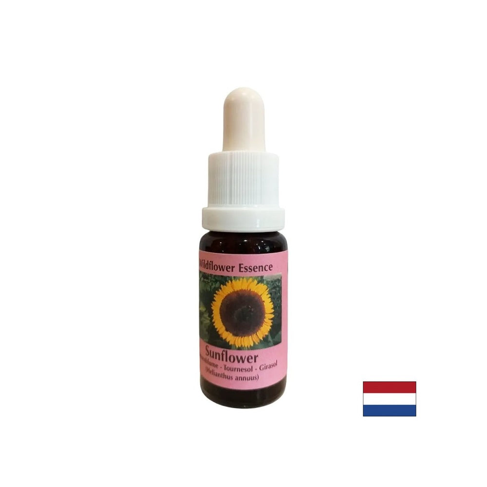 Overcomes conflicts with parents, strengthens self-awareness and responsibility - Sunflower Essence No. 16, drops 15 ml - Nutra Best Europe