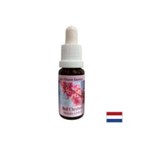 When worried about others - Red Horse Chestnut Essence No. 25, drops 15 ml - Nutra Best Europe