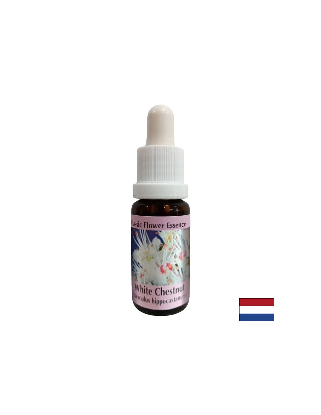 For intrusive thoughts - Horse Chestnut Essence No. 35, drops 15 ml - Nutra Best Europe