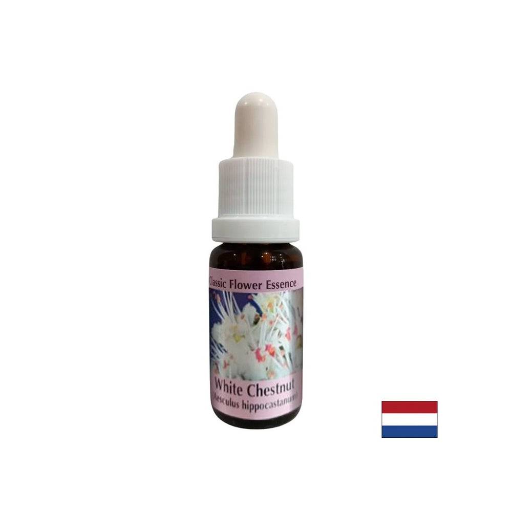 For intrusive thoughts - Horse Chestnut Essence No. 35, drops 15 ml - Nutra Best Europe
