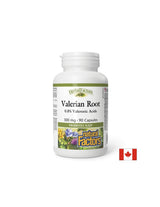 Valerian Root 300 mg - 90 capsules - Nutra Best Europe