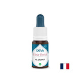 For fear and uncertainty - Siberian Onion, Bach drops, 15 ml - Nutra Best Europe