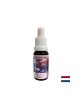 In difficult situations - Elm Essence No. 11, drops 15 ml - Nutra Best Europe