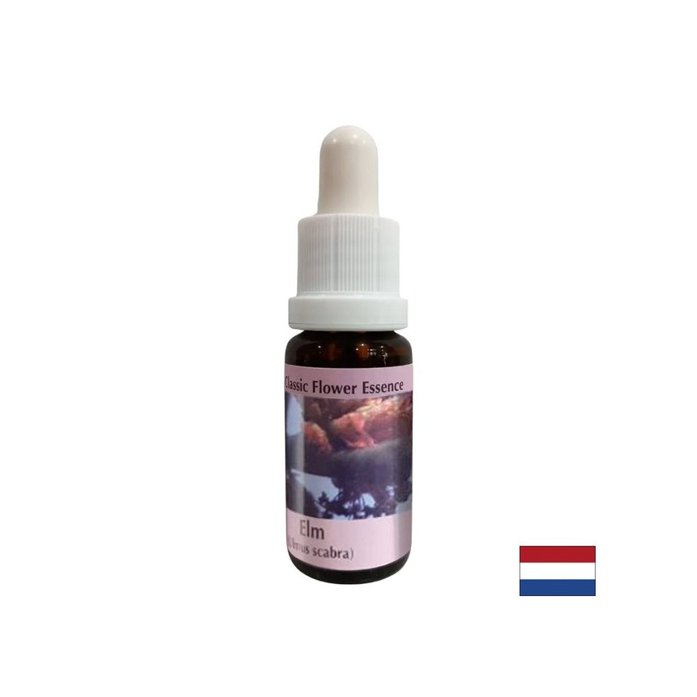 In difficult situations - Elm Essence No. 11, drops 15 ml - Nutra Best Europe