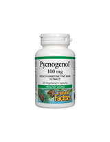 Pycnogenol® 100 mg - 30 capsules - Nutra Best Europe