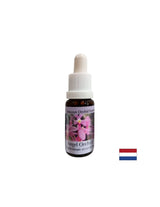Expands consciousness and improves communication - Angel Orchid Essence No. 3, drops 15 ml - Nutra Best Europe