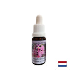 Expands consciousness and improves communication - Angel Orchid Essence No. 3, drops 15 ml - Nutra Best Europe