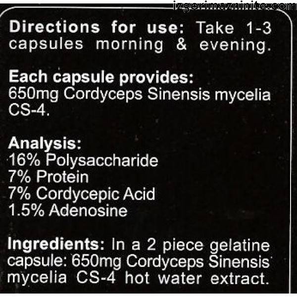 Cordyceps CS-4 90 capsules - Nutra Best Europe