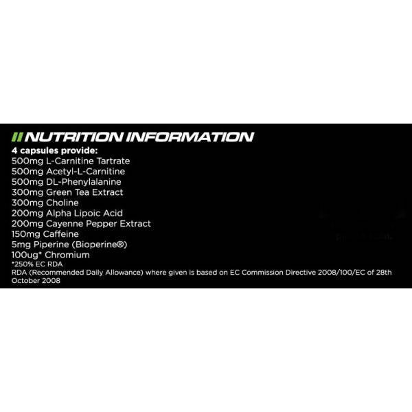 Brain Essentials / 60 Vcaps - Nutra Best Europe