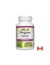 Oil of Oregano Organic 180 mg - 60 Gel capsules - Nutra Best Europe