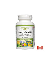 Saw Palmetto with Lycopene - 90 Gel capsules - Nutra Best Europe