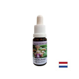 Creates mood and joy - Essence Cheerful Orchid No. 11, drops 15 ml - Nutra Best Europe