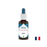 For balancing sexuality and harmonizing intimate relationships - Basil, Bach drops, 15 ml - Nutra Best Europe