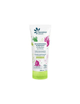 Shampoo with Aloe Vera, Jujube, Burdock, Nettle Bio, 200 ml Fleurance Nature - Nutra Best Europe
