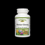 Siberian Ginseng 250 mg - 90 capsules - Nutra Best Europe