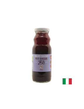 Smoothies with blueberries, BIO, 200 ml - Nutra Best Europe