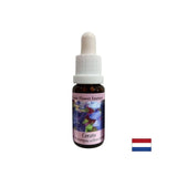 Stimulates intuition and decision-making - Essence Ceratosigma (Wax) No. 5, drops 15 ml - Nutra Best Europe