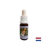 Stimulates a positive attitude towards life - Essence Colorful Orchid No. 7, drops 15 ml - Nutra Best Europe
